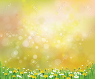 Beautiful spring background daisies grass - shutter shutter free wallpaper
