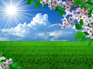 Field flowers blue sky clouds 2 - nature free wallpaper