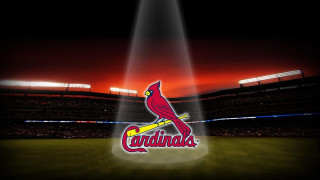 Stadium baseball field cardinals logo - spotlight free wallpaper