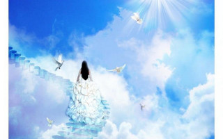 Woman sitting stair sky birds - a stairway free wallpaper for desktop