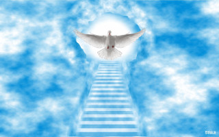 White dove stairway light sky - andrey yefimovich martynov free wallpaper