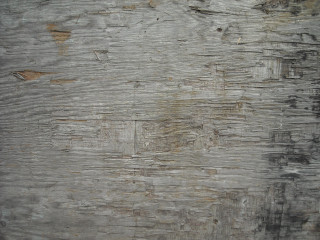 Wooden surface peeling paint stop - fine texture free wallpaper