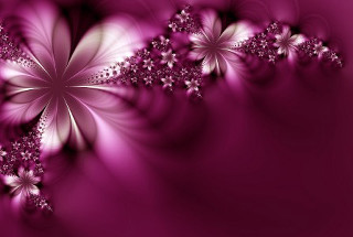 Purple background flowers side white 3 - a bunch of flowers free wallpaper