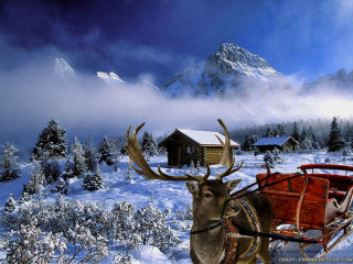 Reindeer pulling sleigh cabin background - a sleigh free wallpaper