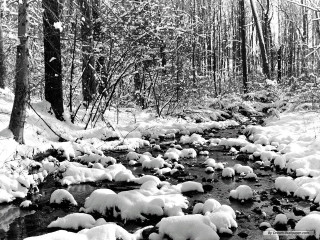 Snowy stream forest rocks trees 2 - a stream free wallpaper
