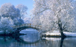 Bridge river snow trees small 2 - the middle free wallpaper