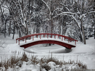 Red bridge snowy park pond - tree and bushes free wallpaper