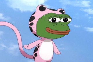 Cartoon frog pink hat polka - kawaii free wallpaper for desktop