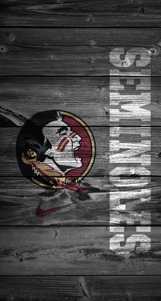Wooden wall florida logo football - a football helmet free wallpaper