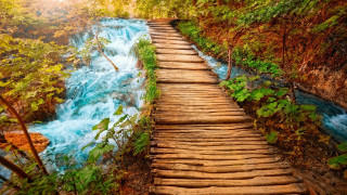 Wooden path waterfall woods blue - a wooden path free wallpaper
