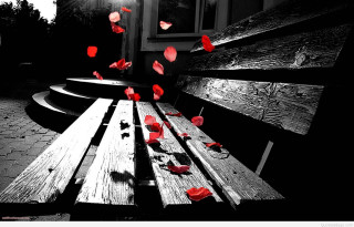Wooden bench red flowers light - red flower free wallpaper