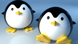 Penguins standing table blue white - two penguin free wallpaper