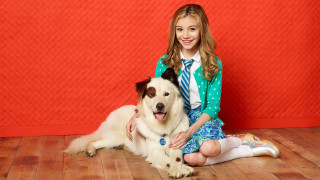 Girl dog floor red wall - fletcher martin free wallpaper