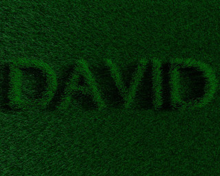 Green grass field david written - a green grass field free wallpaper