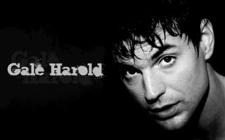 Man shirt staring camera black - brad holland free wallpaper for desktop