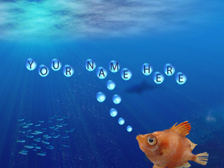 Fish bubbles water yourname netart - your free wallpaper