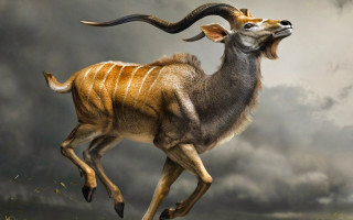 Ram running grass cloudy sky - weta digital free wallpaper
