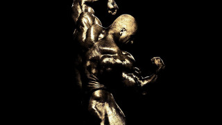 Bodybuilder anthony palumbo gold sculpture - arnold free wallpaper for desktop