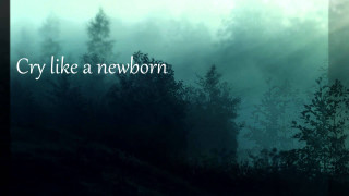 Forest quote cry newborn foggy - elden ring free wallpaper
