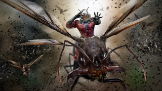 Man insect bird back head - americo makk free wallpaper for desktop