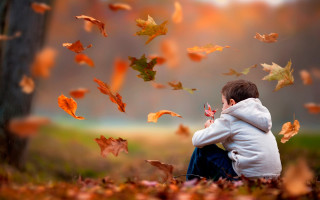 Young boy field leaves falling - a young boy free wallpaper