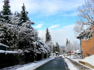 Snowy street trees building winter - florence engelbach free wallpaper