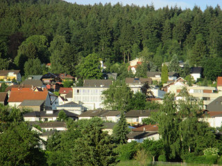 Small town trees hill houses - a small town free wallpaper