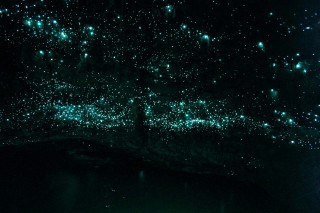 Dark room green lights ceiling - bruce munro free wallpaper