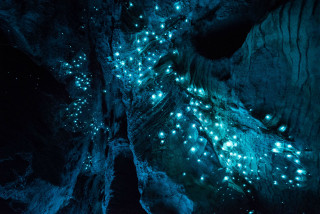 Cave lights man standing middle - bioluminescence free wallpaper