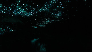 Dark room clock lights reflection - bioluminescence free wallpaper