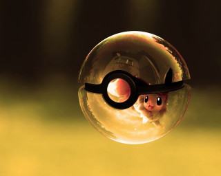 Bubble animal closeup handle image - a black handle free wallpaper