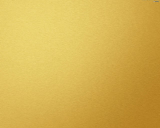 Yellow background black white cat 9 - the bottom of the picture free wallpaper for desktop