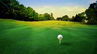 Golf ball tee green course 2 - a golf ball free wallpaper