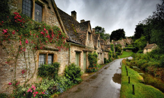 Street houses flowers growing wet - a wet road free wallpaper