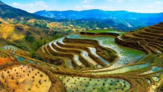 Rice field mountain river landscape - cui bai free wallpaper
