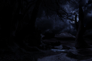 Dark forest path lake night - a full moon in the sky above free wallpaper for desktop