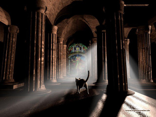 Cat walking dark tunnel columns - the tunnel free wallpaper