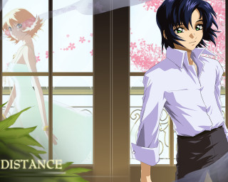 Man dress shirt skirt window - him free wallpaper for desktop