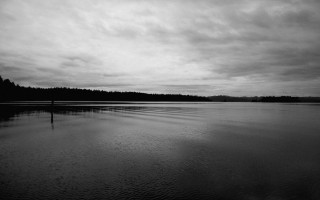 Ocean cloudy sky mountains horizon - a tree in the distance free wallpaper