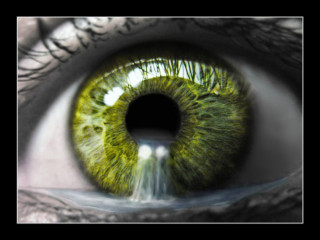 Green eye water iris black - a green eye free wallpaper