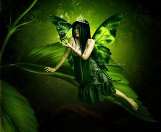Green fairy butterfly leaf forest - a green flower free wallpaper for desktop