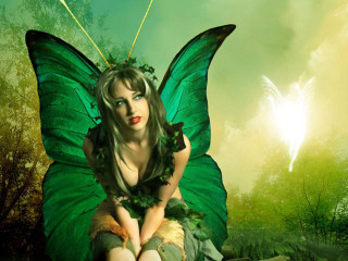 Woman green dress butterfly wings - a butterfly free wallpaper