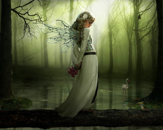 Woman white dress forest bird 4 - her shoulder free wallpaper