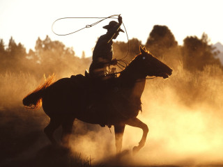 Cowboy riding horse dust lasso - western free wallpaper