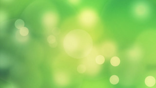 Blurry green background tree leaves - in the foreground free wallpaper for desktop
