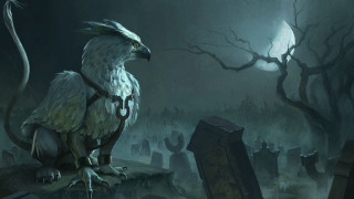 Bird beak tail cemetery night - a long tail free wallpaper