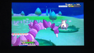 Cartoon gaming cat purple flower - a television screen free wallpaper