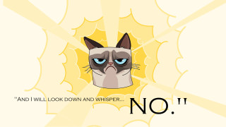 Grumpy cat caption image - a caption free wallpaper for desktop