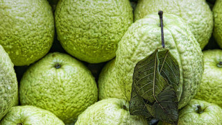 Green fruit pile leaf top - top of its free wallpaper