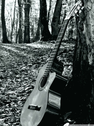Guitar leaning tree forest black - leaning free wallpaper for mobile
